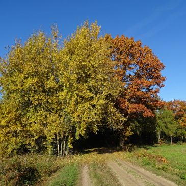 Nationaal Landschap Winterswijk